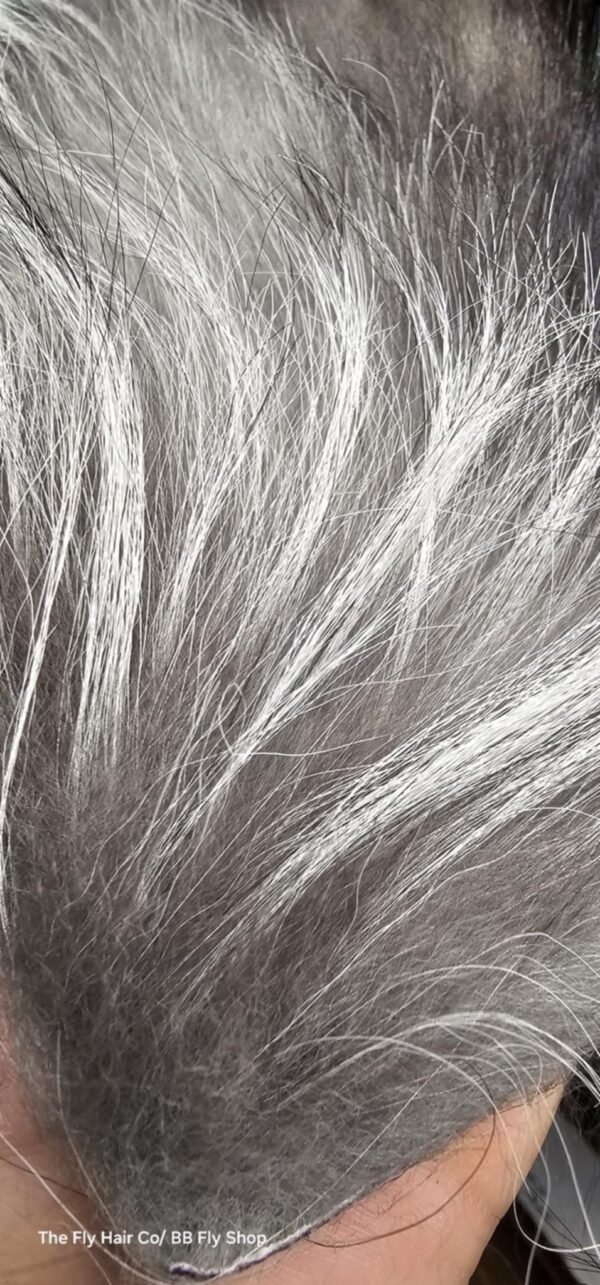 Silver Fox